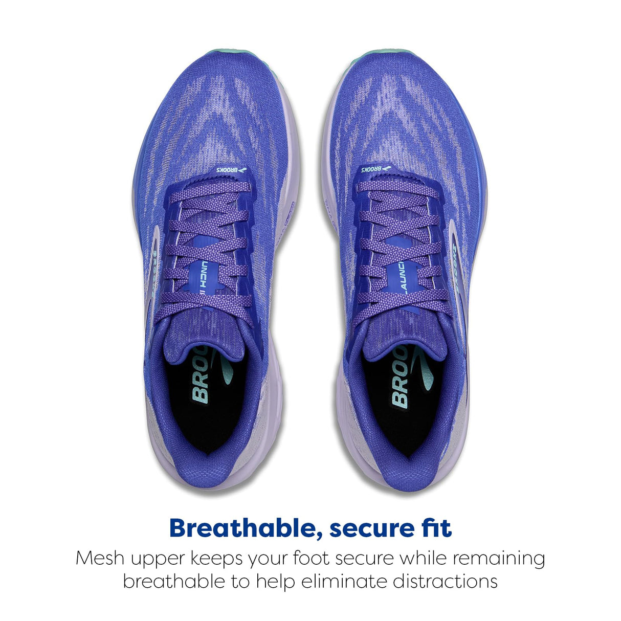 Amparo/Thistle/Limpet