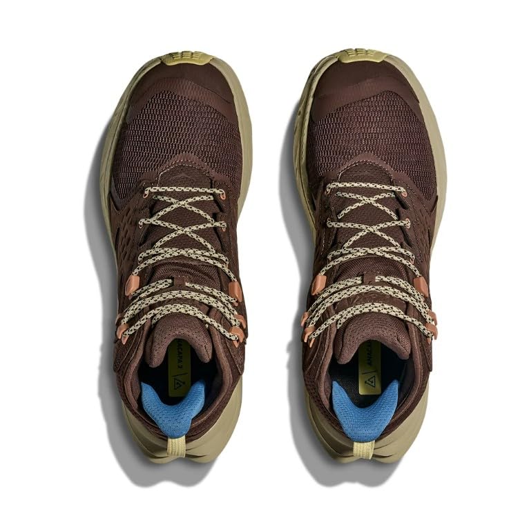 Walnut/Oyster Mushroom