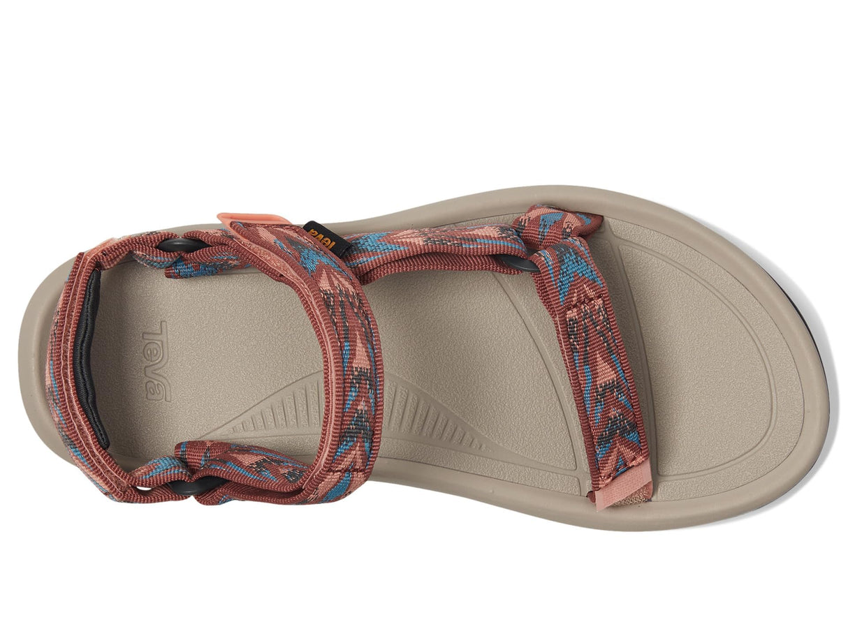 Archive Wings Blooming Dahlia