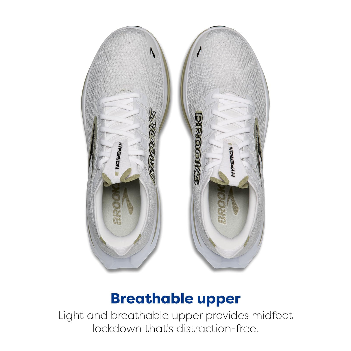 Oyster Mushroom/Black/Tea