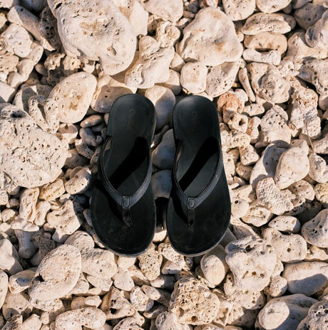 Lava Rock/Lava Rock