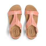 Blush Pink