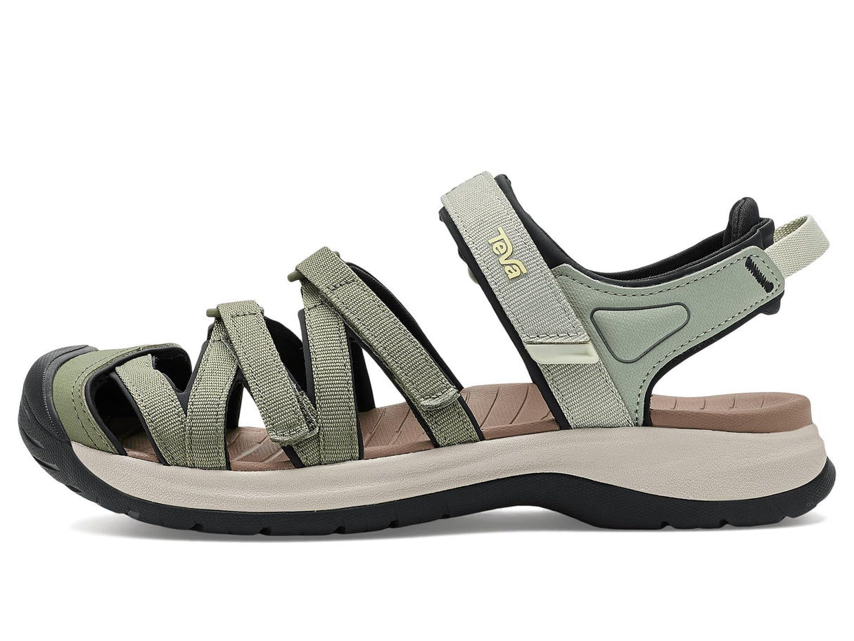 Deep Lichen/Seagrass