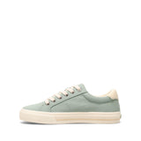 Spearmint/Cream Distressed