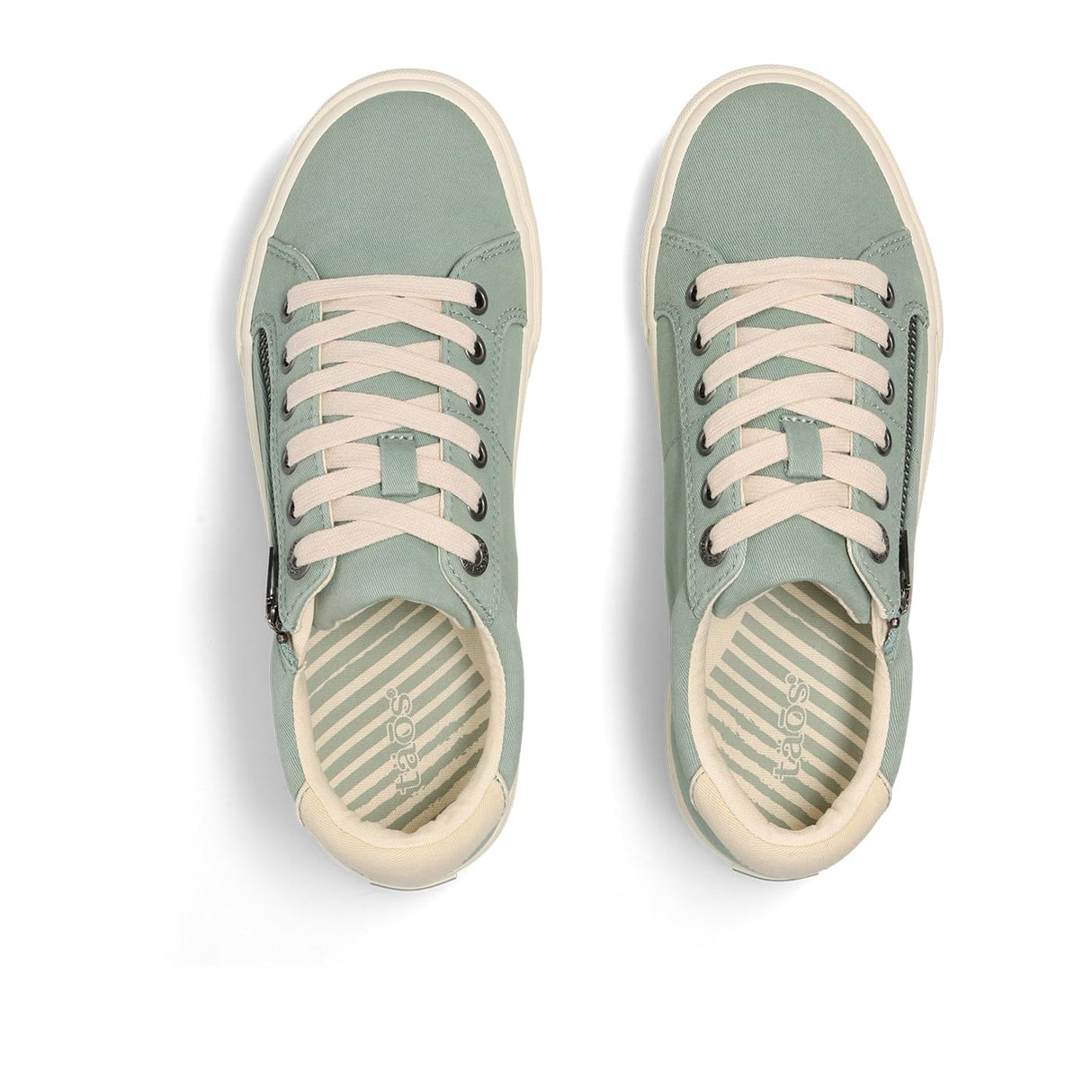 Spearmint/Cream Distressed