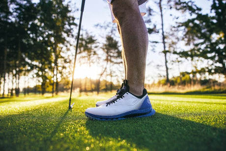White/Federal Blue