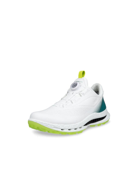 White/Baygreen