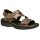Bison Brown