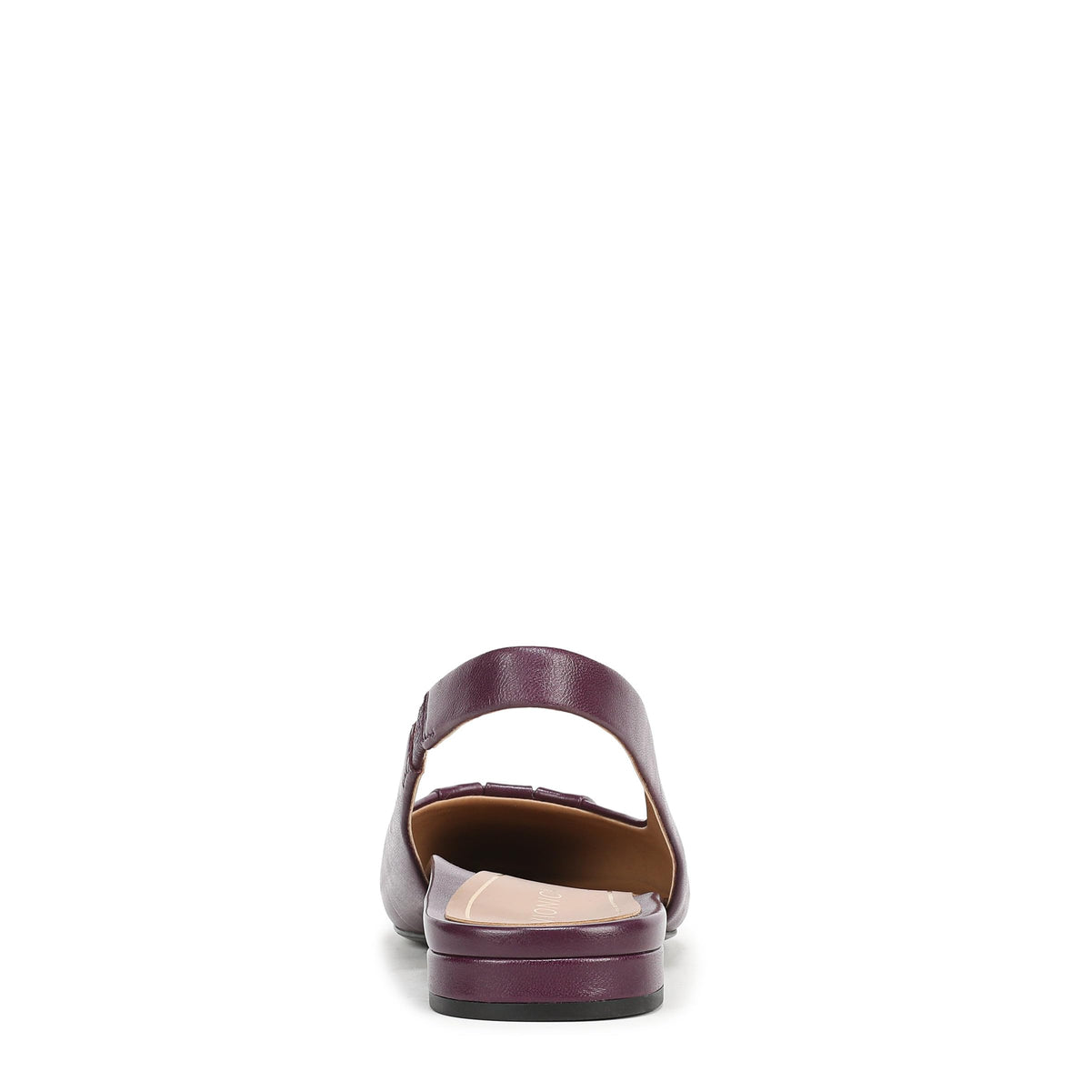 Winter Plum