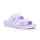Purple Fog