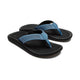Blue Fog/Lava Rock