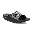 Oofos Ooahh Limited Women's – Cheetah