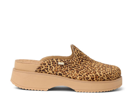 Grey Leopard